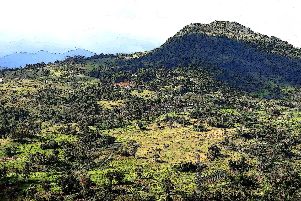 Cebu Hills av Detlef B. Fischer