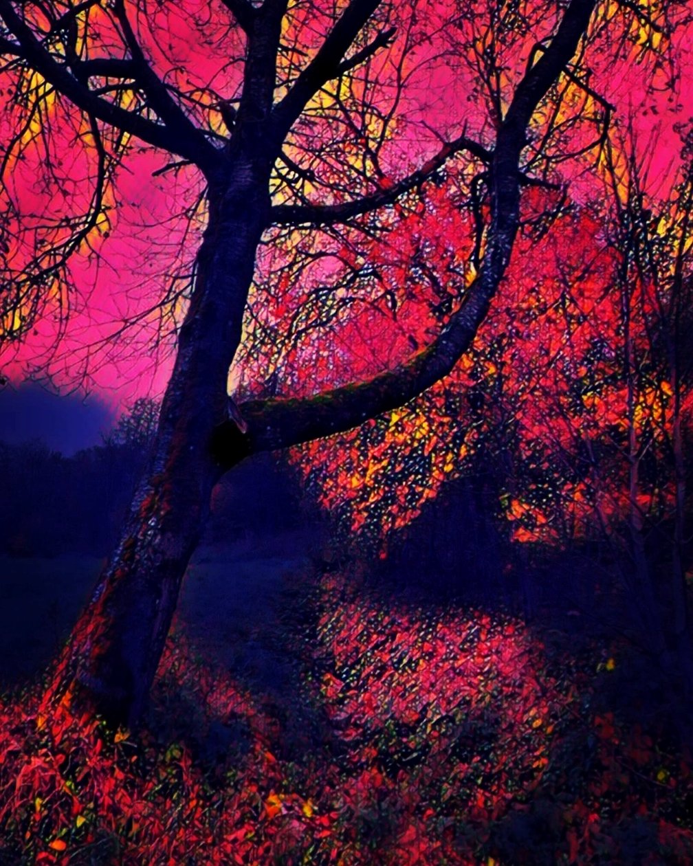 Twilight. av Margareta Uliarte