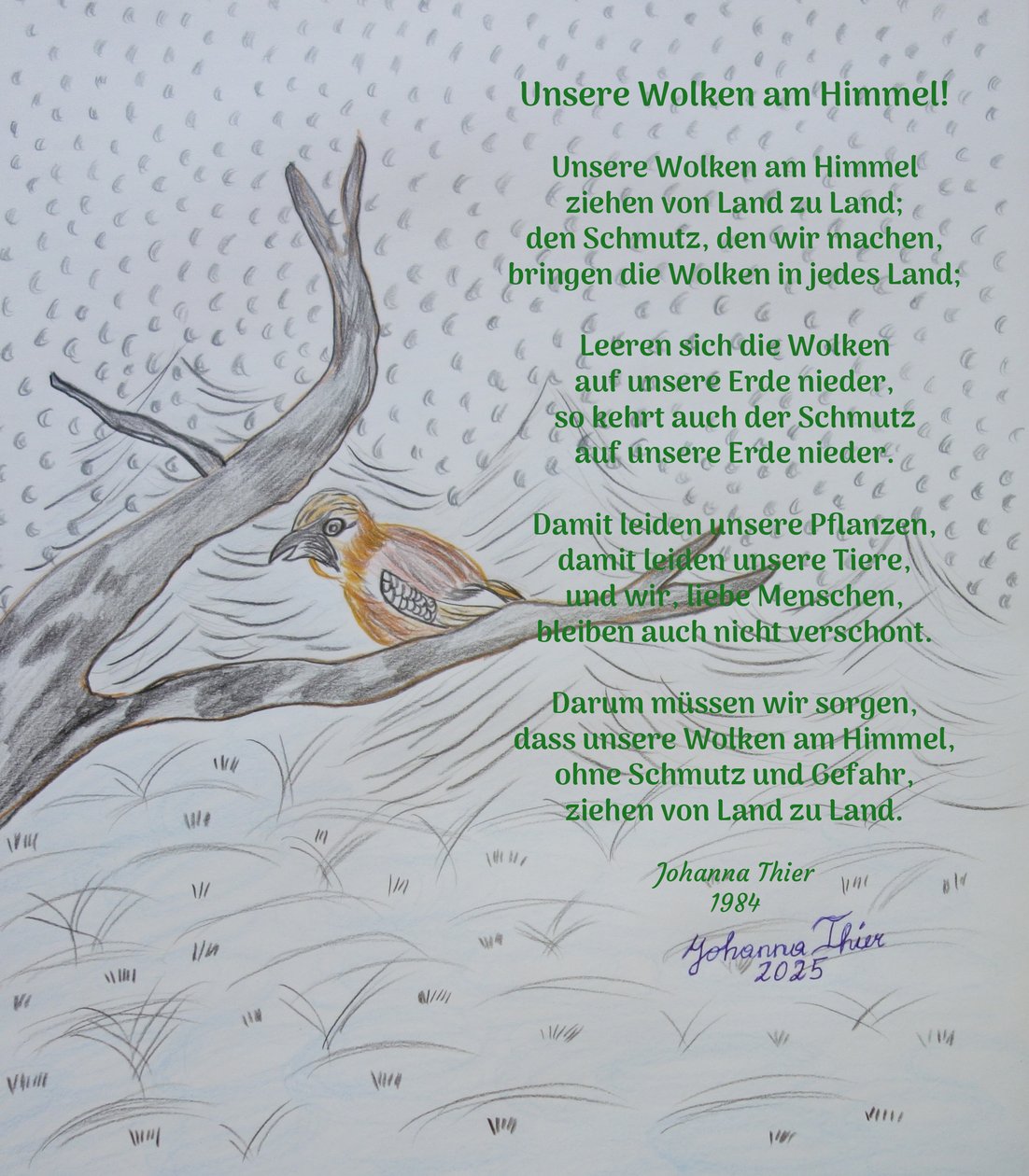 Våra moln på himlen av Johanna Thier