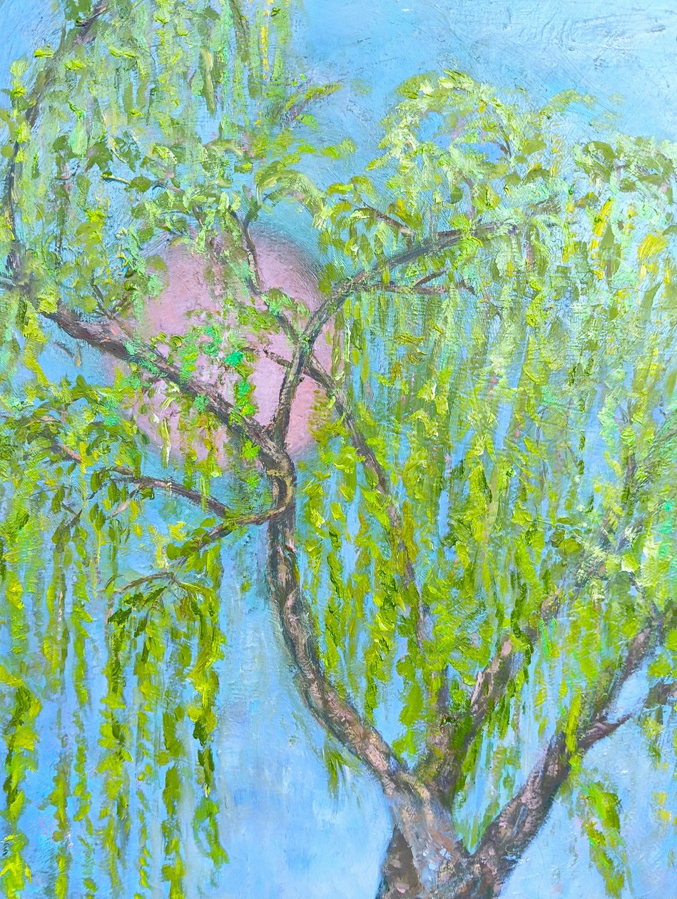 Pilen som inte ler av Elzbieta Goszczycka