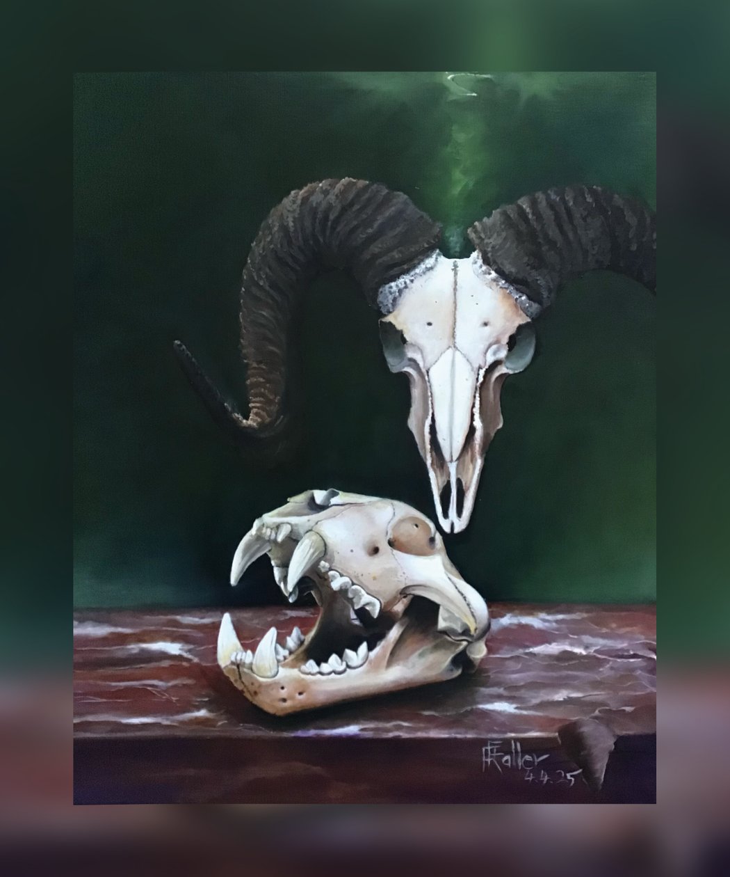 Memento mori (Studie av djurskallar) av Faller Rüdiger - Tician