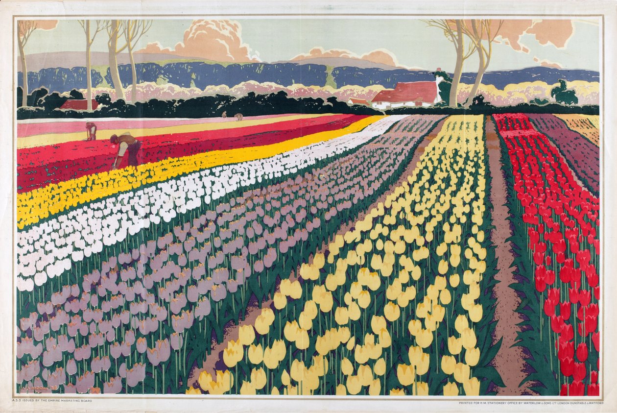 Utan titel, från serien "Home Bulbs for Home Gardens" (färg litho) av A.A. Moores