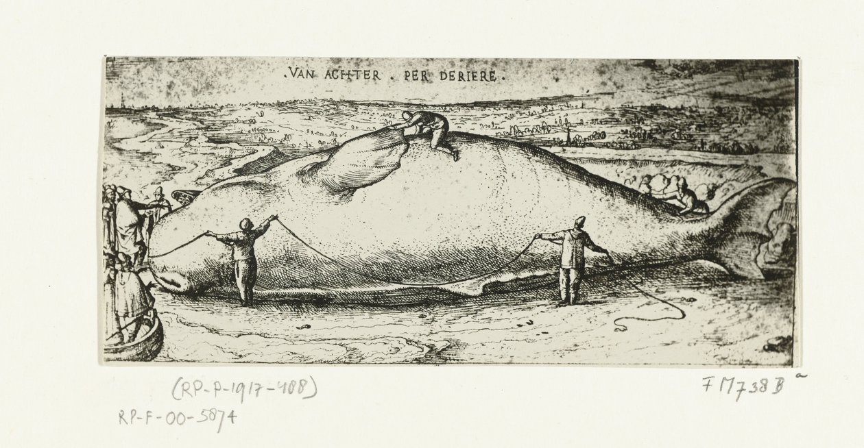 Tryck av den spolade valen nära Antwerpen, 2 juli 1577 av A.B. van Deinse