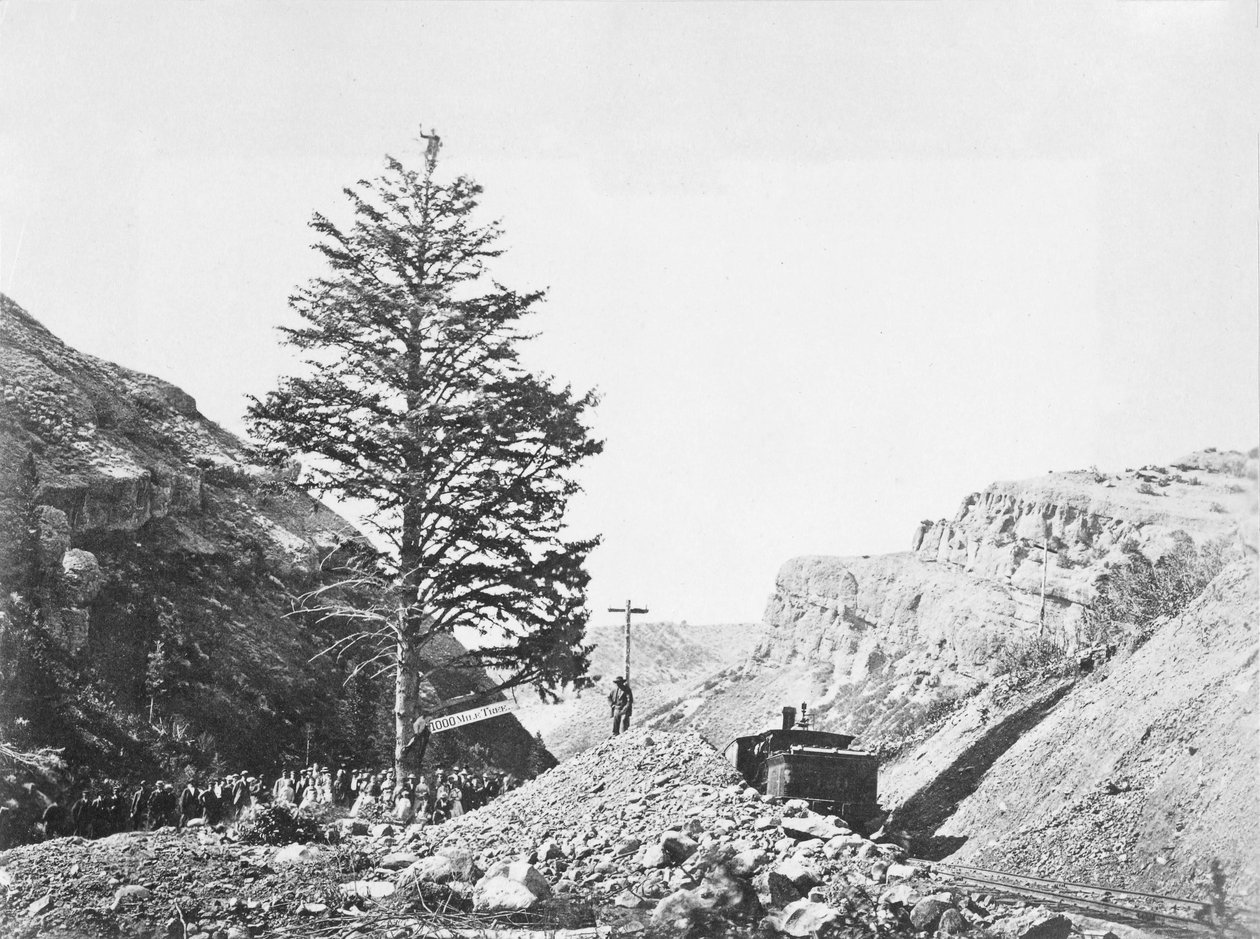 Thousand Mile Tree vid Wilhelminas Pass med en grupp människor vid basen och en man på toppen av trädet bredvid järnvägen. av A.J. Russell