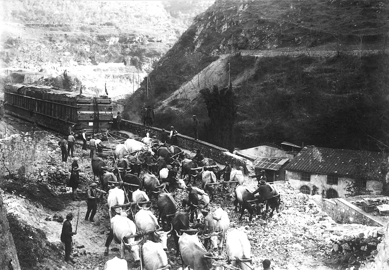 Ett stort antal oxar transporterar en enorm konvoj med marmor som just har förts ner till dalen från ett stenbrott i Apuan (svart/vitt foto). av A. Corsini