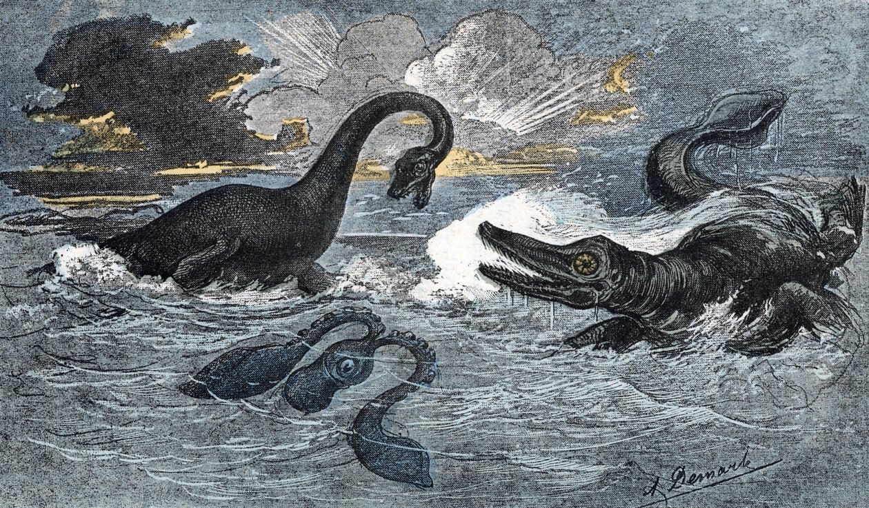 Plesiosaurie och en ichthyosaurie från nedre juraperioden av A. Demarle
