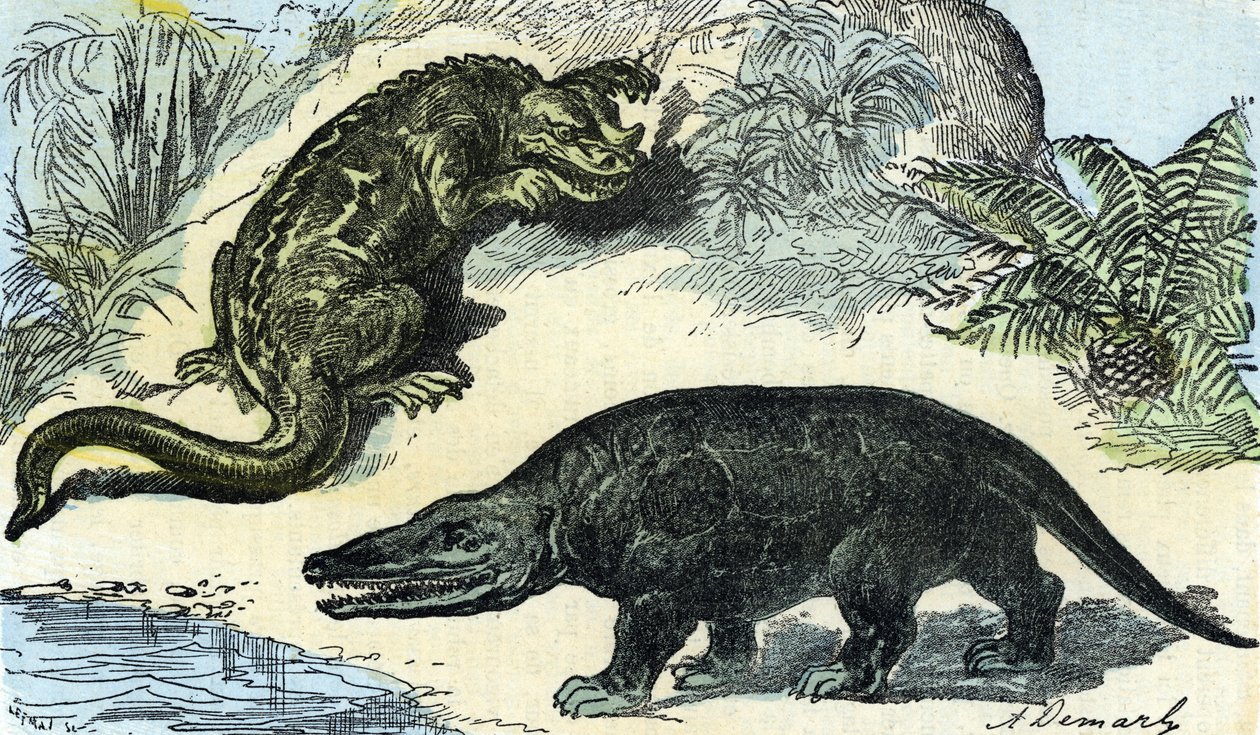 Förhistoria: representation av en iguanodon och megalosaurus från kritaperioden av A. Demarle