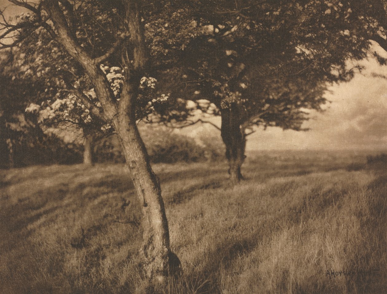 Kameraarbete: Beyond av A. Horsley Hinton