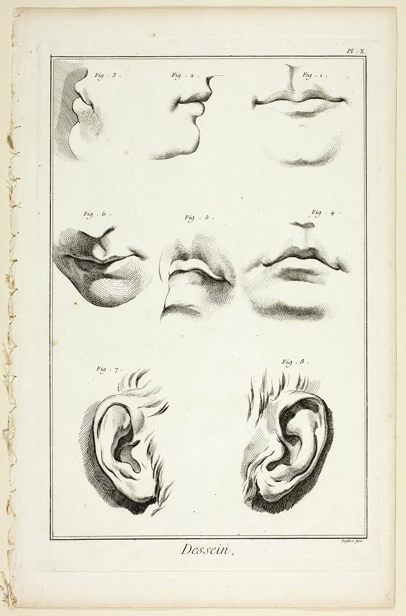 Design: Facial Anatomy från Encyclopédie av A. J. Defehrt