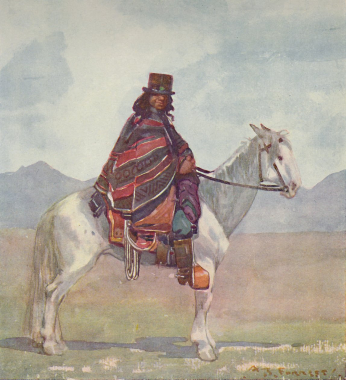 En araukansk indian, 1916 av A. S. Forrest