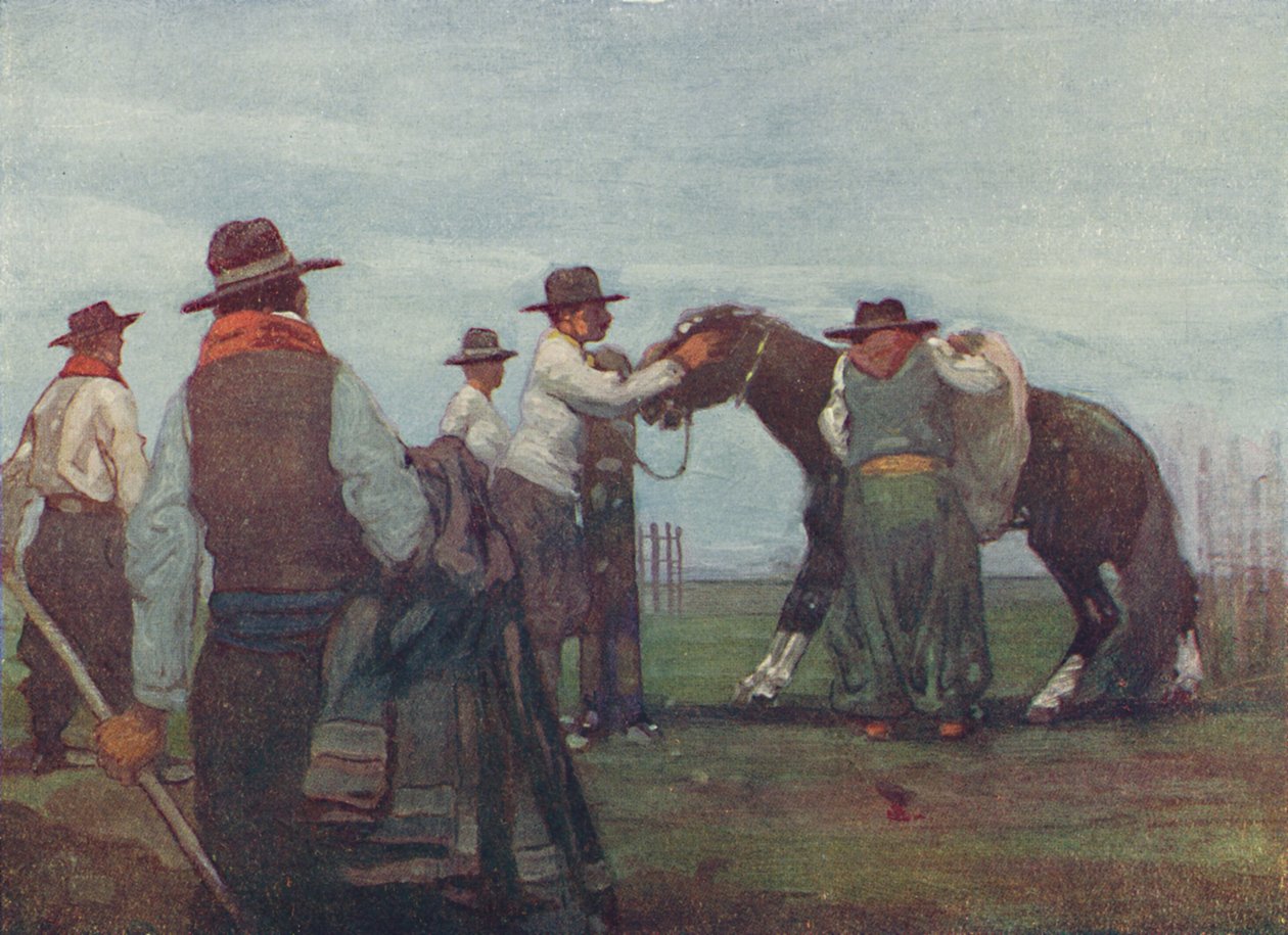 Gauchos bryter in en ung häst, 1916 av A. S. Forrest
