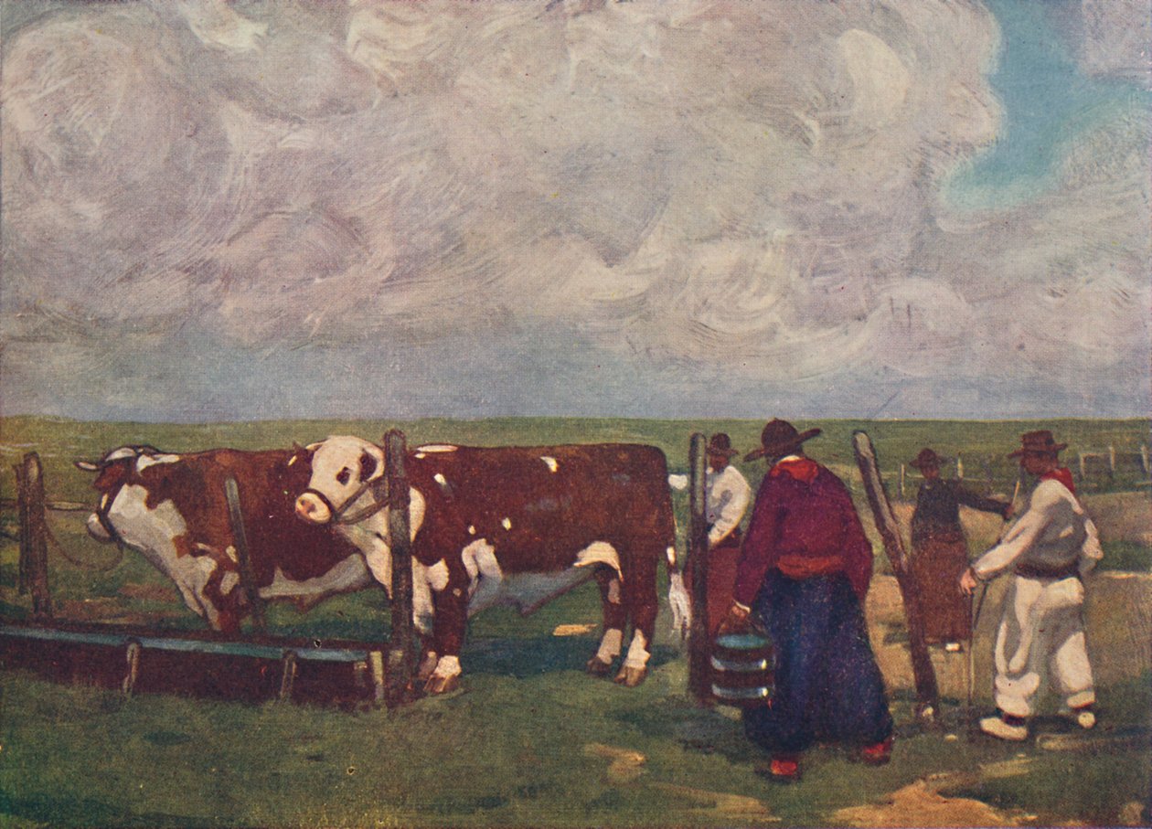 Stamtavla Oxen på en Lemco Estancia, 1916 av A. S. Forrest