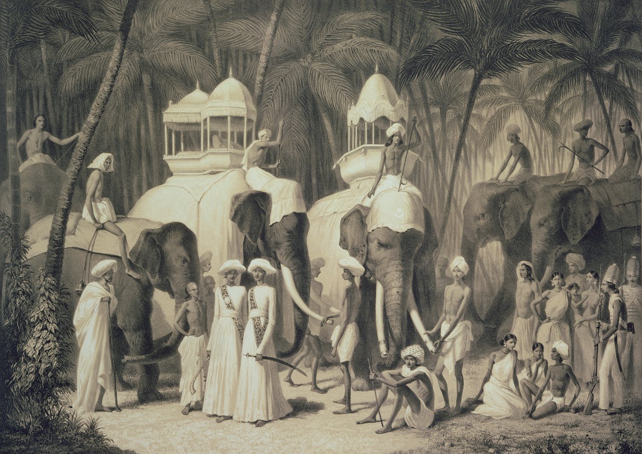 Elefanter från Raja av Travandrum, från "Voyage in India", graverad av Louis Henri de Rudder (1807-81) av A. Soltykoff