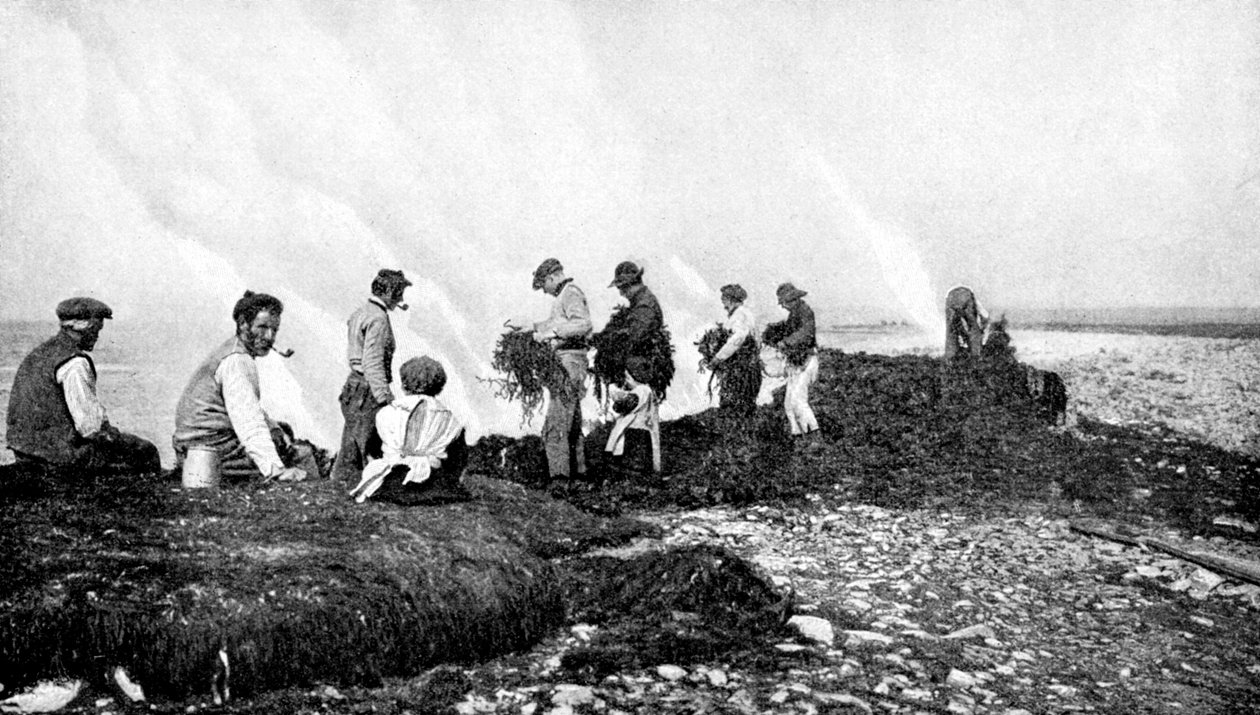 Brinnande tång för kelp, Aran Islands, Irland, 1922. av A. W. Cutler