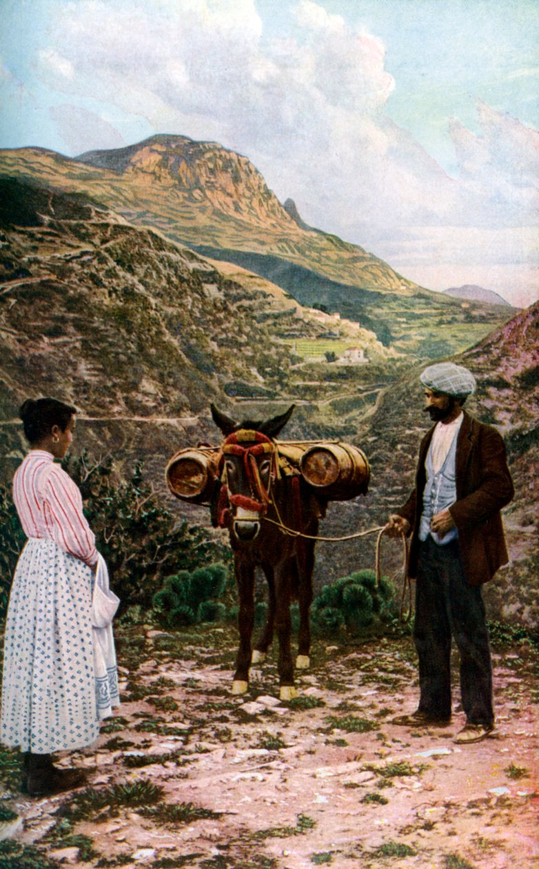Mula med vattenfat, Sicilien, Italien, c1923 av A. W. Cutler