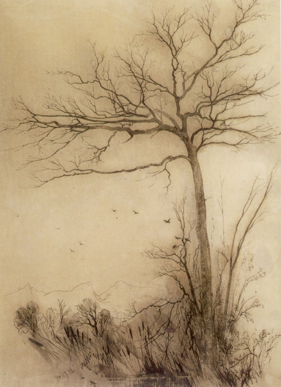  Birds Fly South--Conwayn av Aaron Draper Shattuck