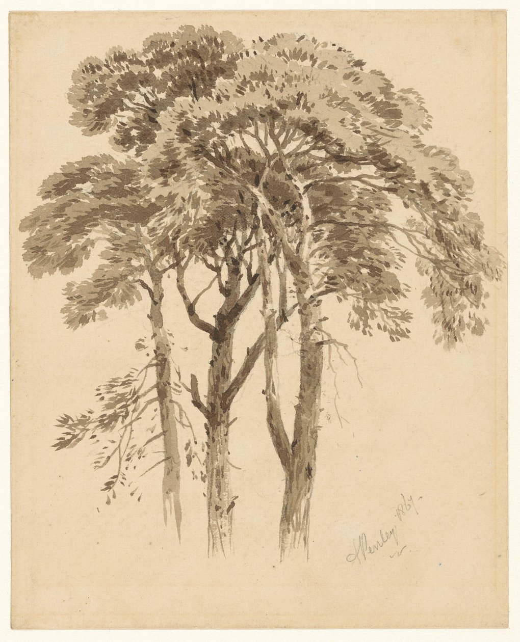 Studie av tre tallar av Aaron Edwin Penley