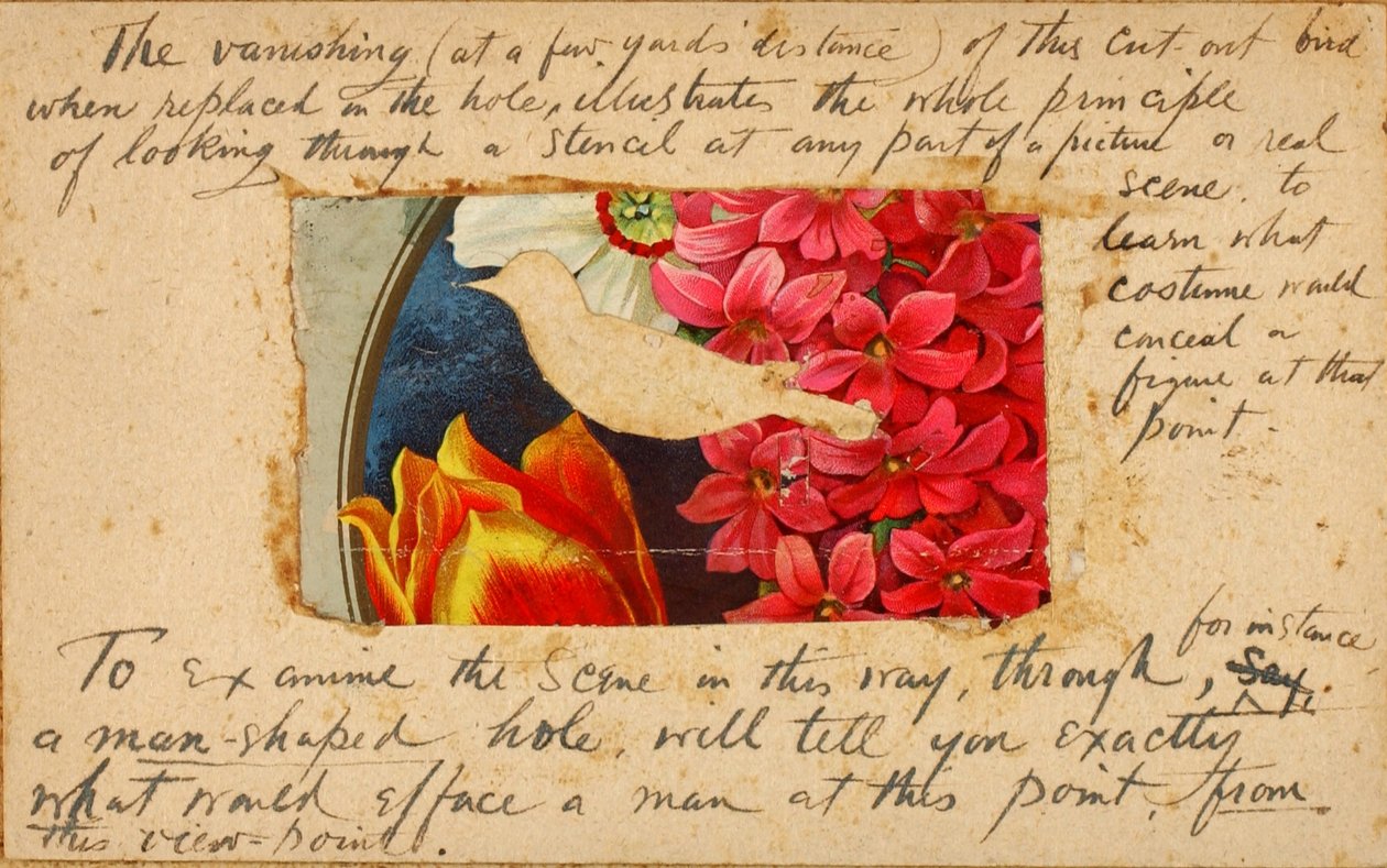 Bird Stencil, studiemapp till boken Concealing Coloration in the Animal Kingdom av Abbott Handerson Thayer
