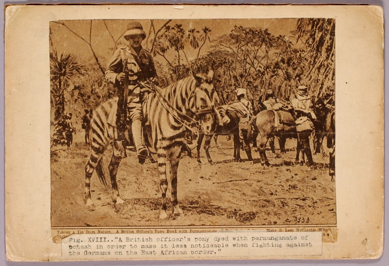 Horse and Cruiser Camouflaged, studiemapp till boken Concealing Coloration in the Animal Kingdom av Abbott Handerson Thayer