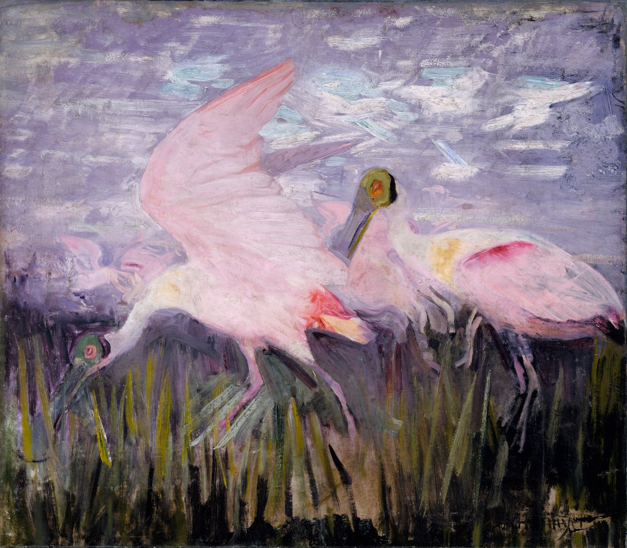 Roseate Spoonbills, studie för boken Concealing Coloration in the Animal Kingdom, ca. 1905-1909. av Abbott Handerson Thayer