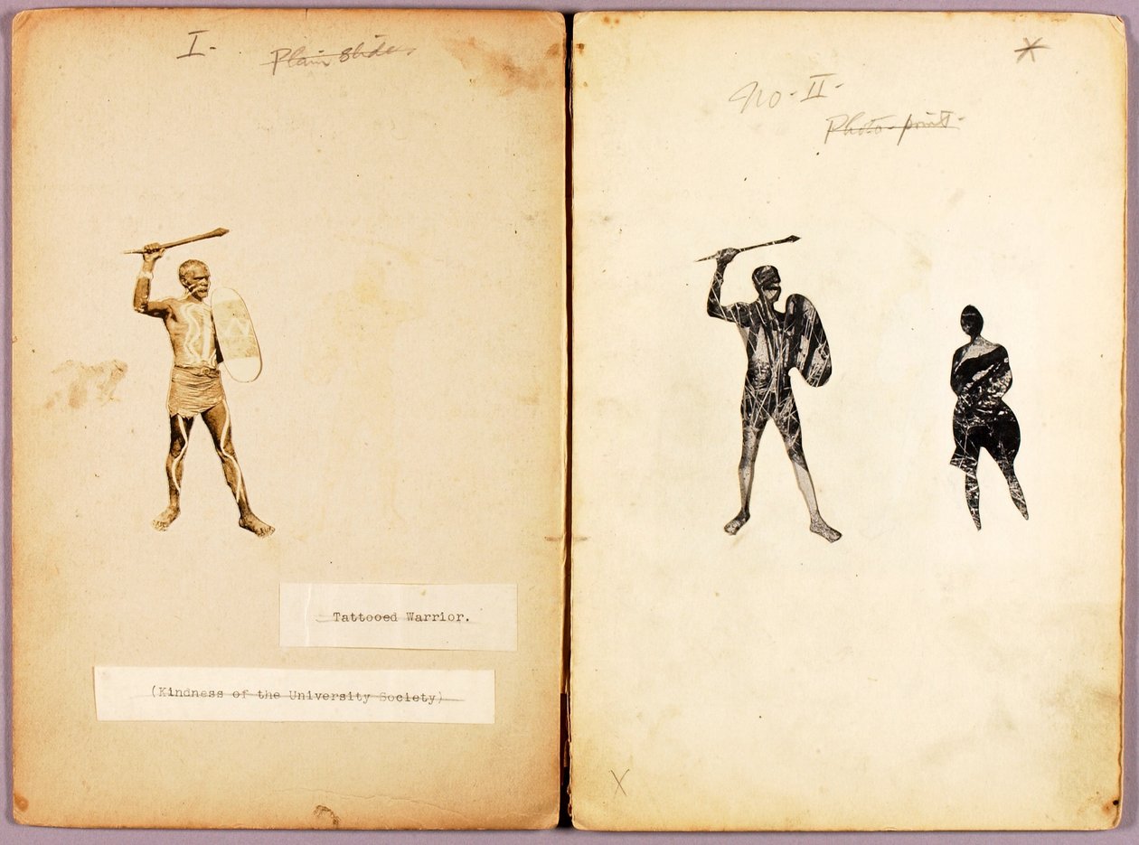 Tattooing--Single Warrior, studiemapp till boken Concealing Coloration in the Animal Kingdom av Abbott Handerson Thayer