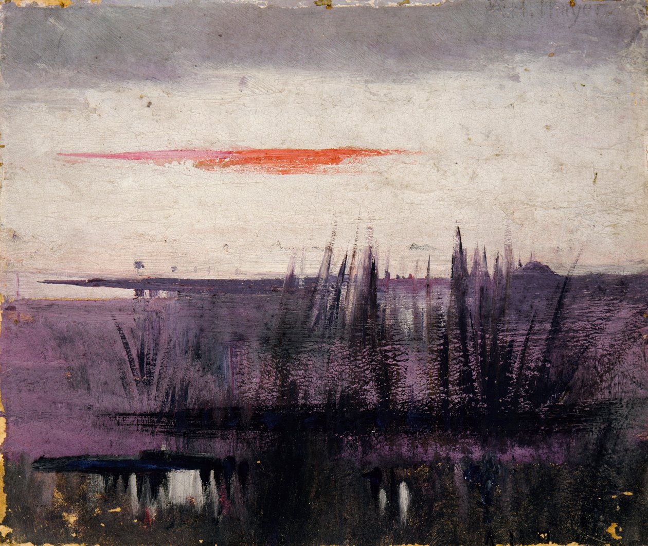 The Sky Simulated by White Flamingoes studie för bok, Dold färgsättning i djurriket av Abbott Handerson Thayer