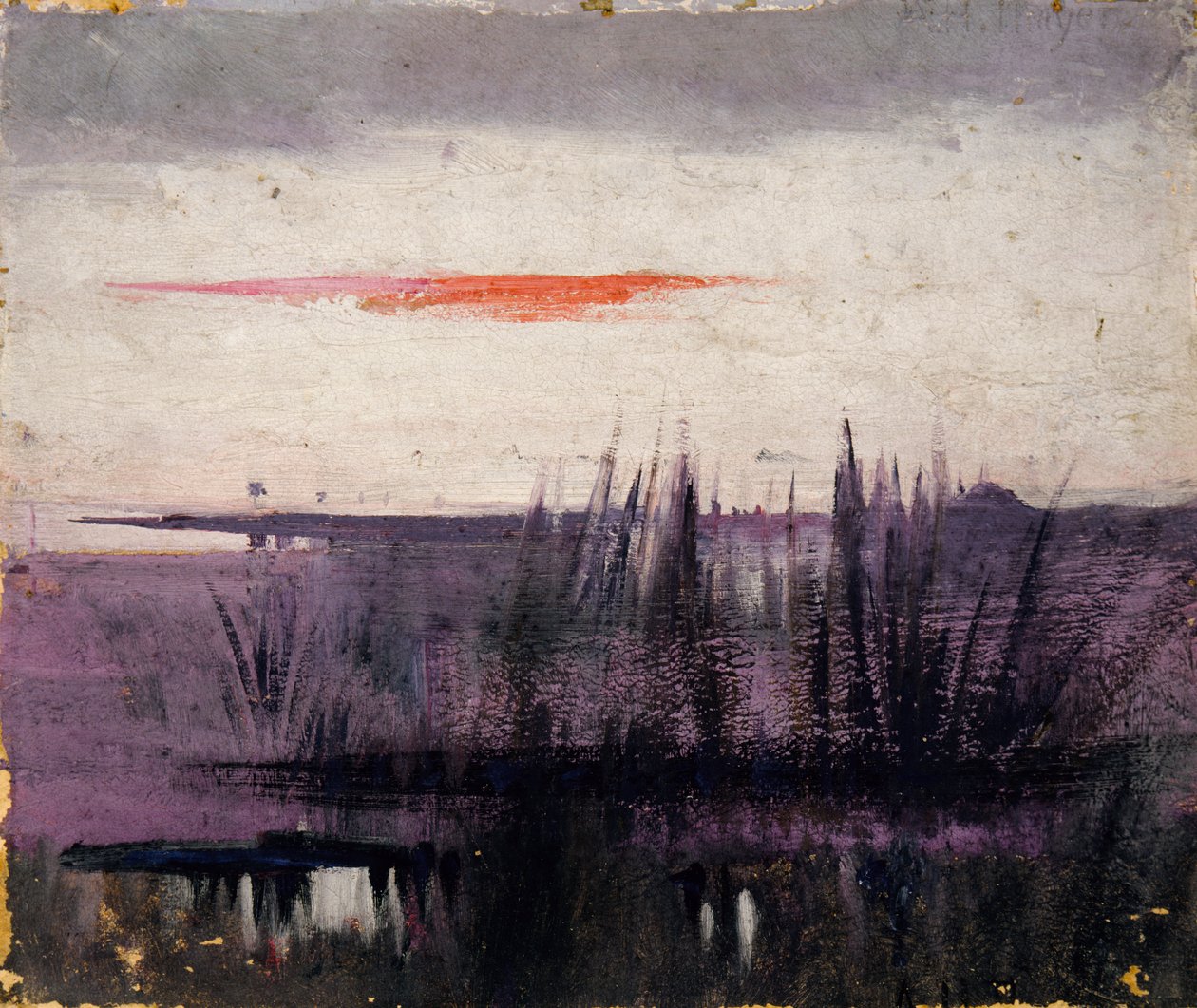 The Sky Simulated by White Flamingoes studie för bok..., i Djurriket, ca. 1905-1909. av Abbott Handerson Thayer