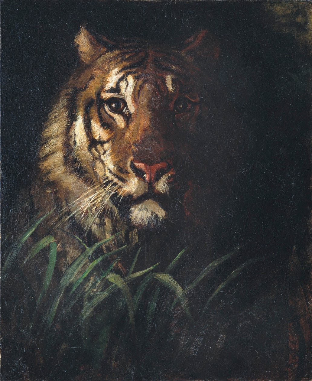 Ett tigerhuvud av Abbott Handerson Thayer