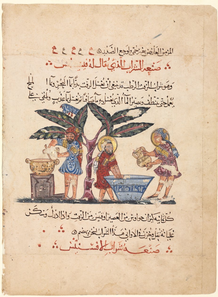 Folio från en arabisk översättning av Materia Medica of Dioscorides av Abdallah ibn al Fadl (Iraq)
