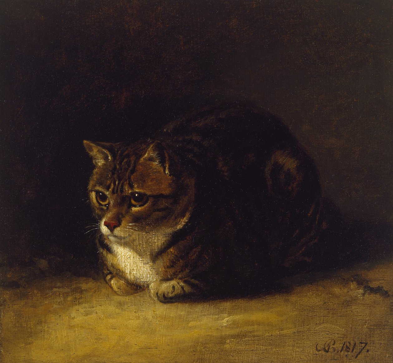 Studie av en katt, 1817 (olja på panel, monterad som teckning) av Abraham Cooper