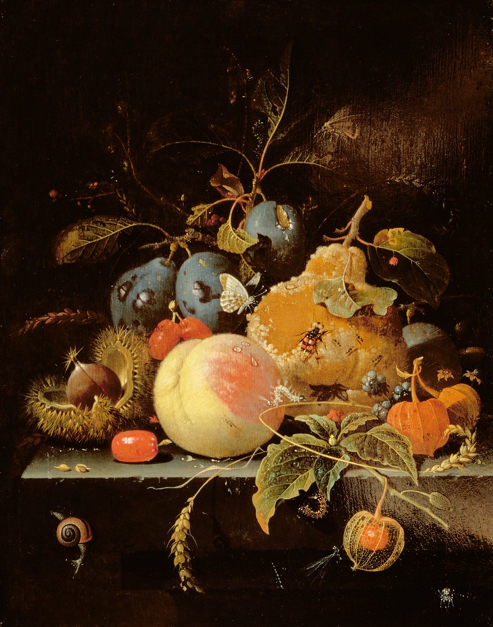 Stilleben av frukt och nötter på en stenavsats av Abraham Mignon