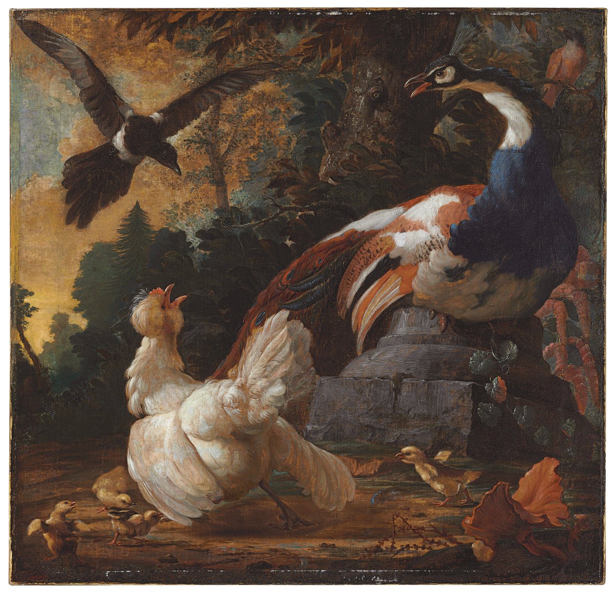 En påfågel, fjäderfä och en skata i ett landskap, 1720 av Abraham Bisschop