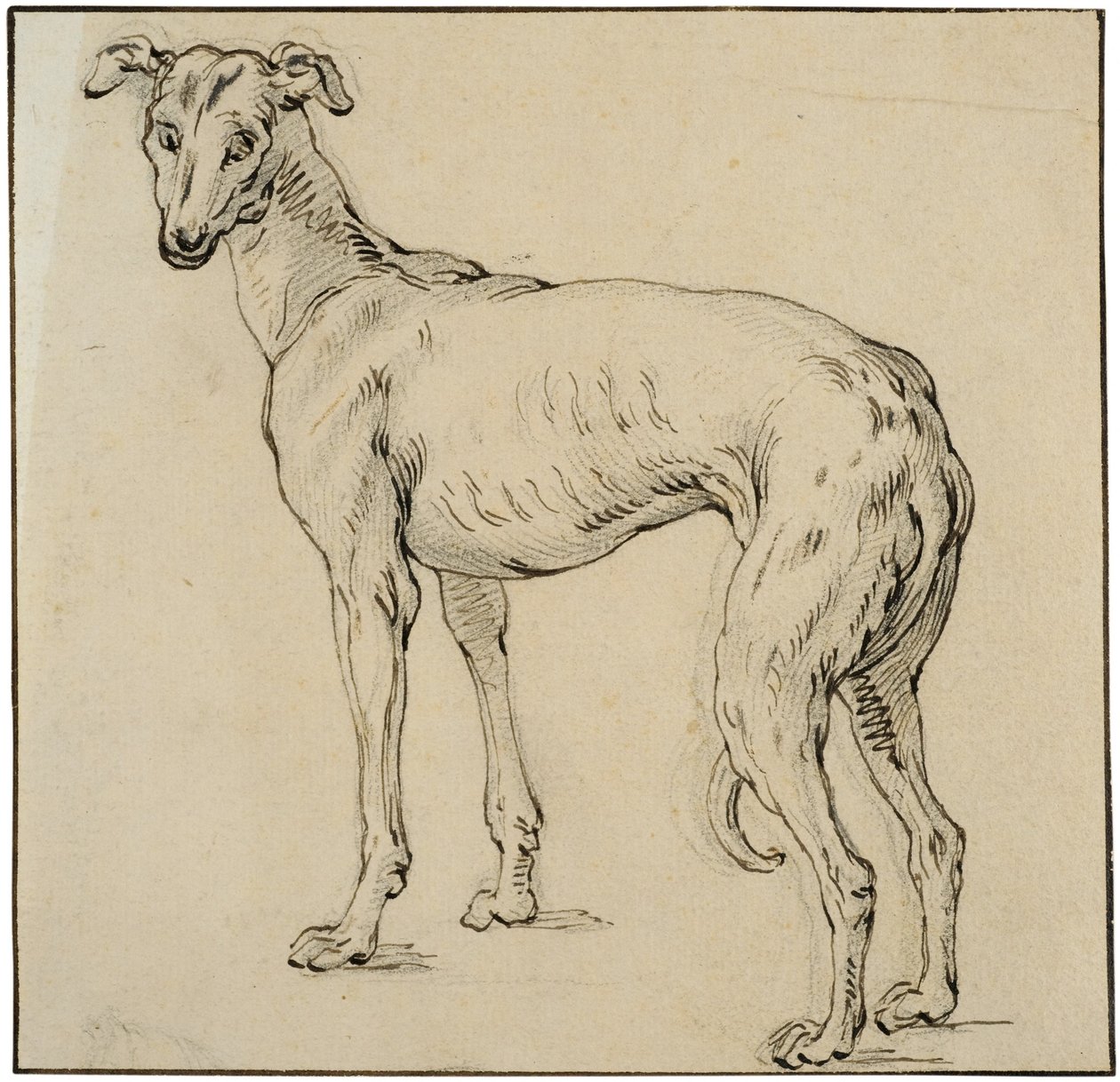 Greyhound av Abraham Bloemaert