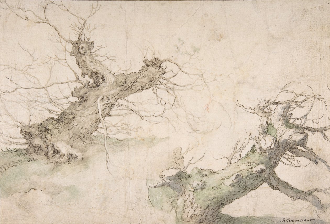 Studies of Two Pollard Willows, Verso: Wide Landscape Prospect, sent 1500-mitten av 1600-talet. av Abraham Bloemaert