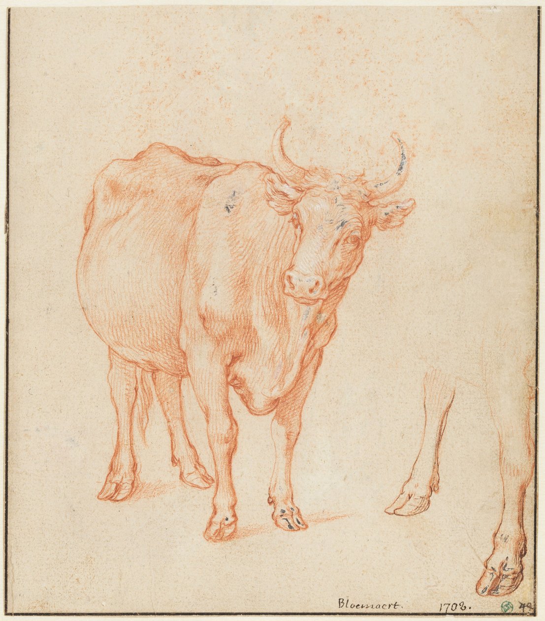 Studier av en ko av Abraham Bloemaert