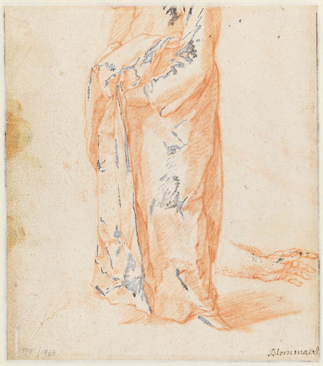 Studier av en ko av Abraham Bloemaert