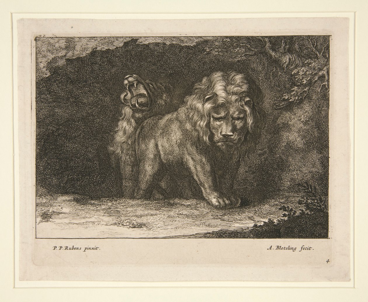 Lions. Från serien av Abraham Blooteling