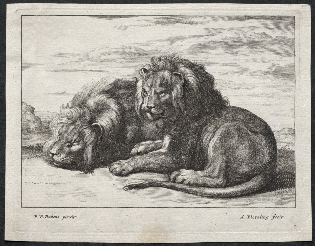 Olika Lions av Abraham Blooteling