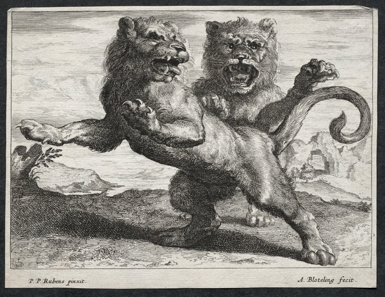 Olika Lions. av Abraham Blooteling