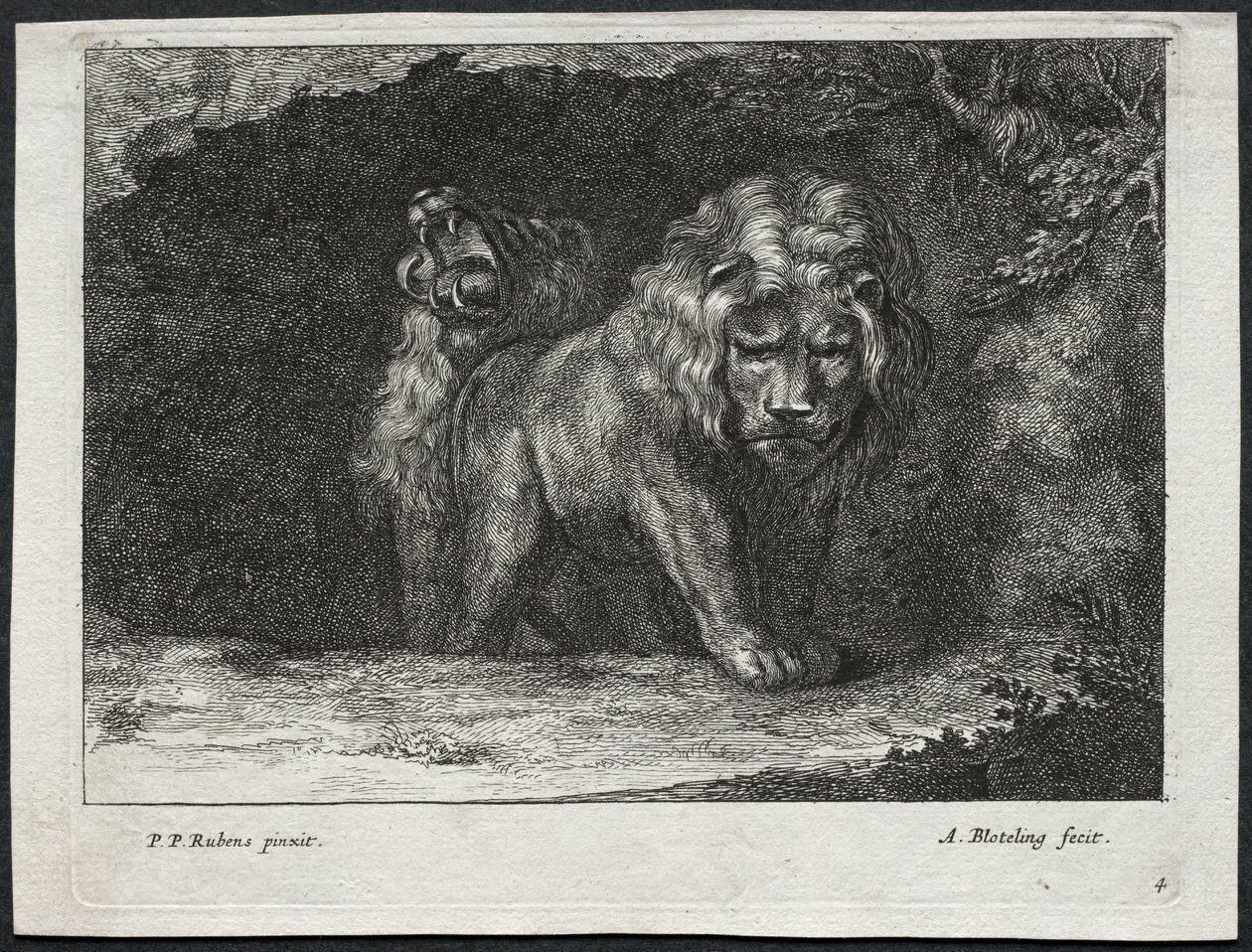 Olika Lions. av Abraham Blooteling