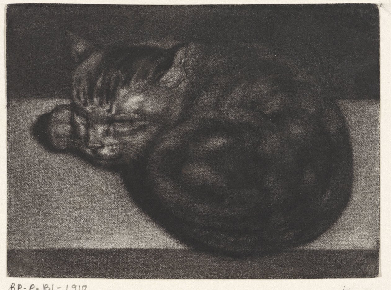 Sovande katt av Abraham Bloteling