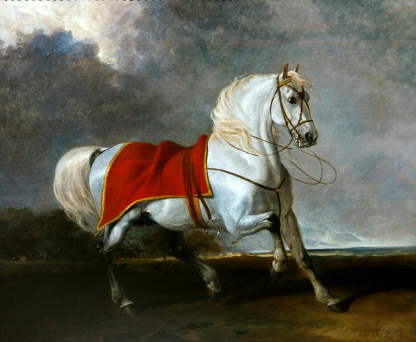 Sadlad grå laddare skrämd av en storm, kallad "Millenium" av Abraham Cooper