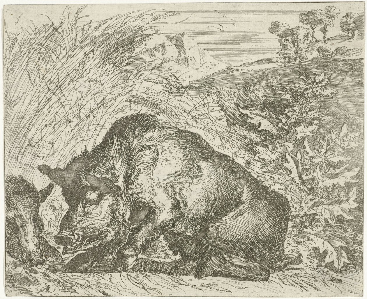 Vildsvin Olika djur (serietitel) av Abraham Danielsz. Hondius