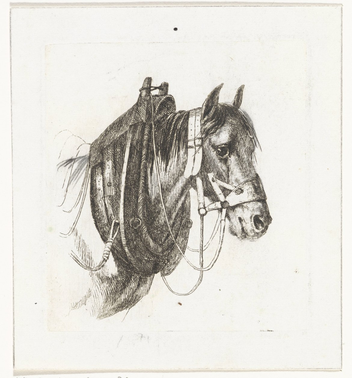 Hästhuvud med träns, sele och sadel av Abraham Hendrik Winter