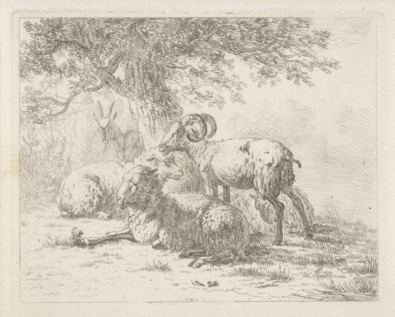 Får och en get av Abraham Hendrik Winter