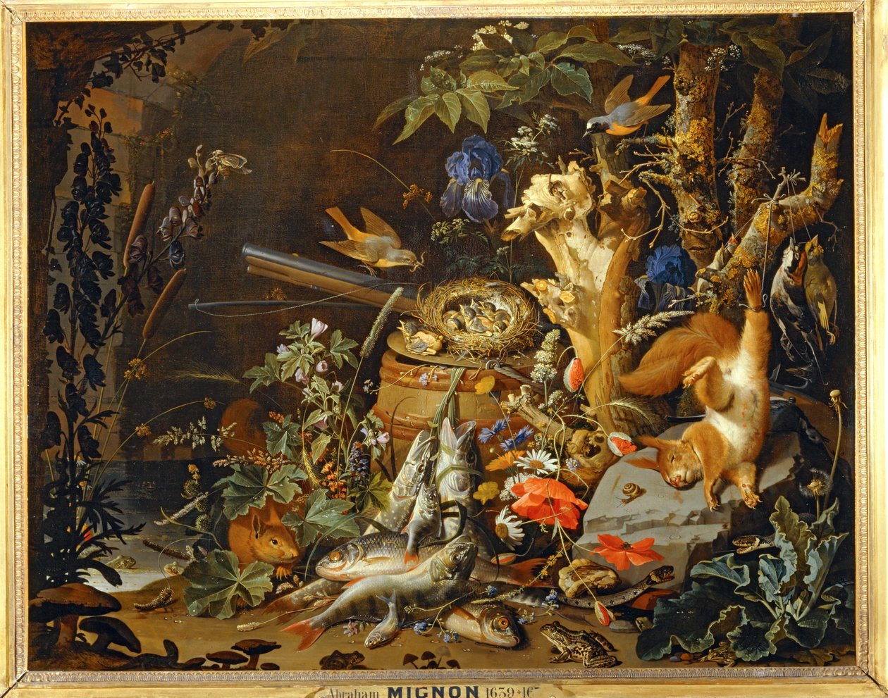 Finkarnas bo... av Abraham Mignon