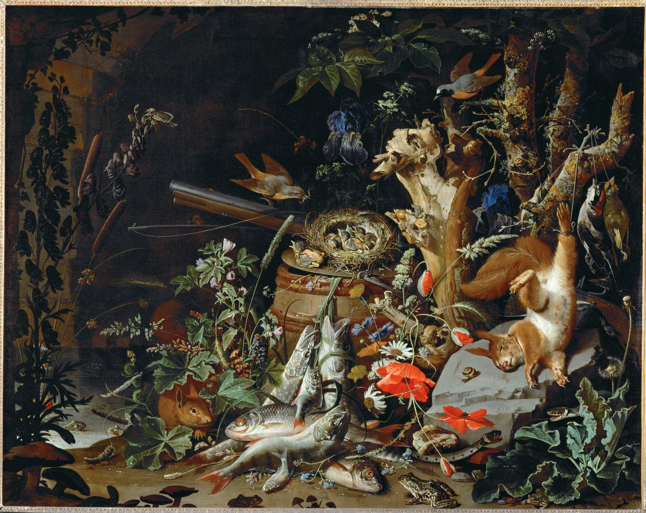 Le nid de pinsons - fiskar, reptiler och en död ekorre bland växter och träd ... av Abraham Mignon