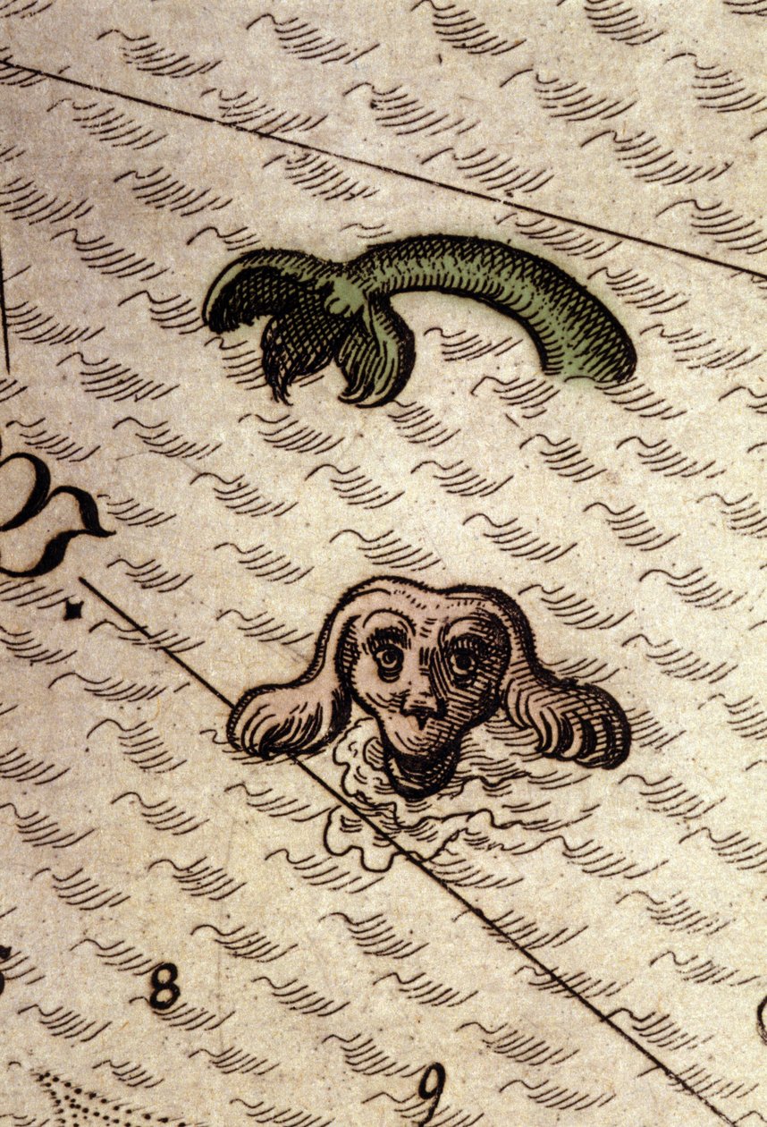 Ett marint monster har ett hundhuvud och en fiskkropp. Detalj av en karta i "Theatrum Orbis Terrarum" av Abraham Ortelius, Antwerpen 1584. av Abraham Ortelius