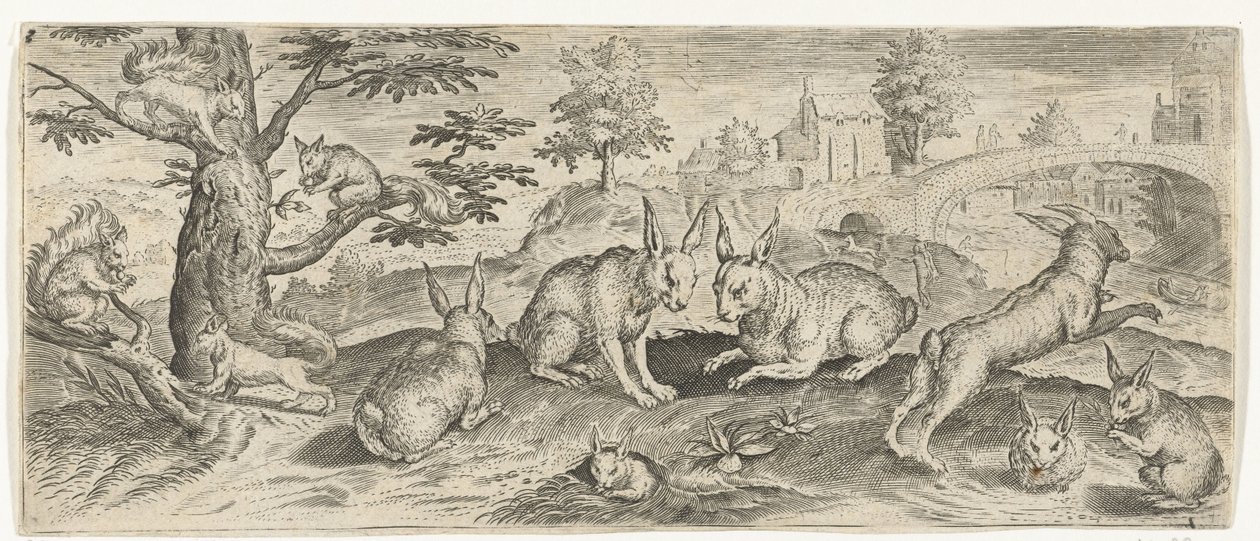 Ekorrar och kaniner Djur (serietitel) av Abraham de Bruyn (possibly)