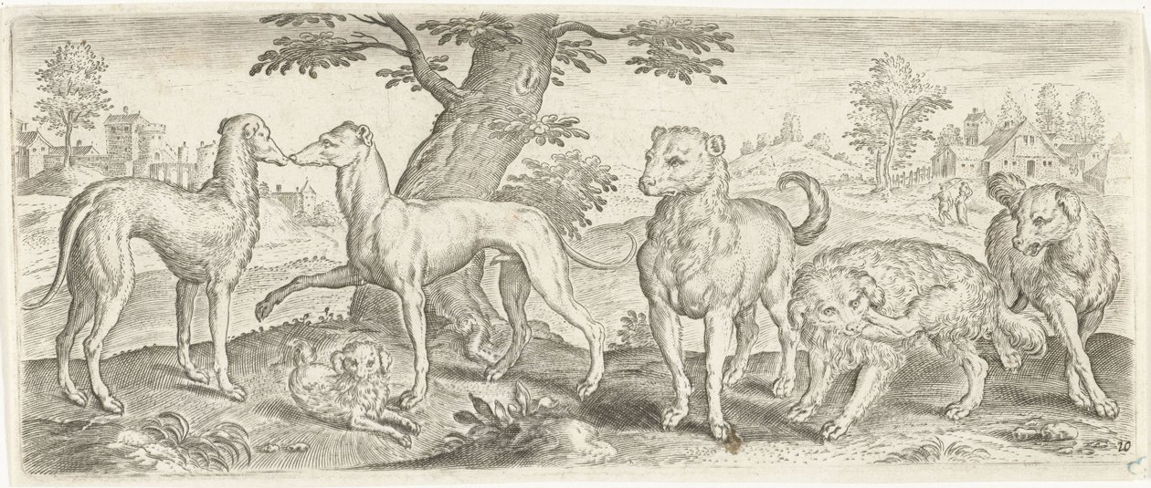 hundar Djur (serietitel) av Abraham de Bruyn (possibly)